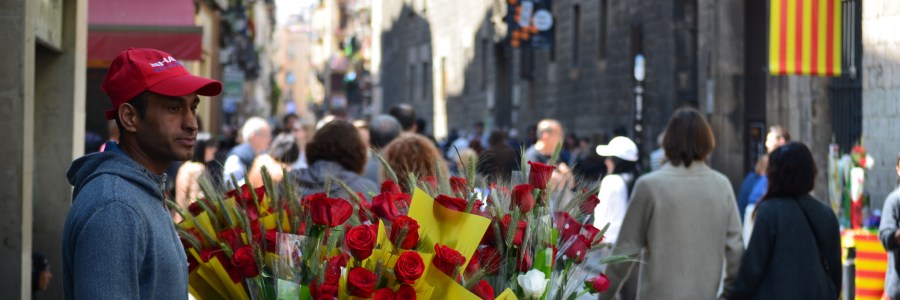 sant jordi rosa barcelona libro